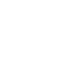 icône argent