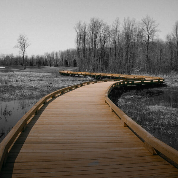 Passerelle sur pieux - Pro Pieux